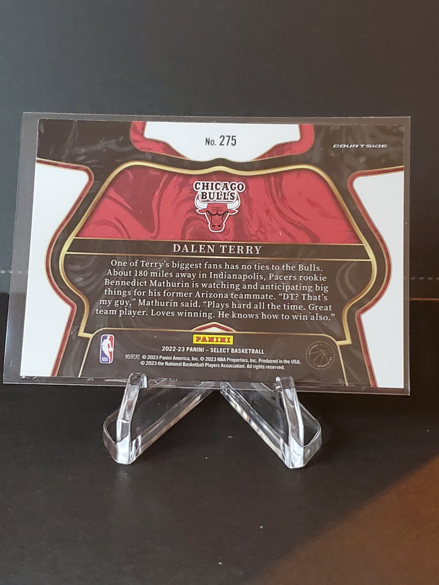 Dalen Terry 2022-2023 Panini Select RC Courtside #275