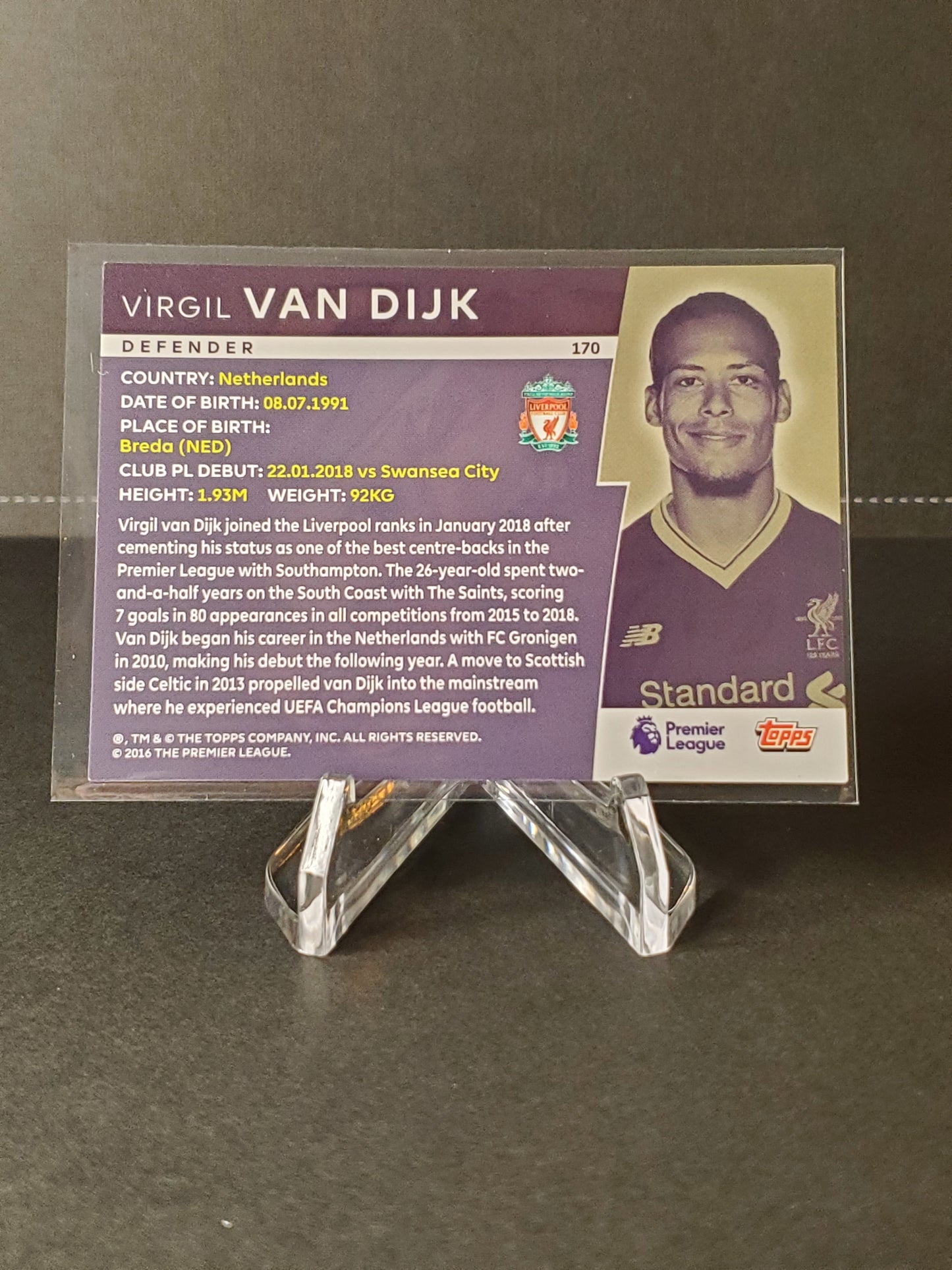 Virgil Van Dik 2018 Topps Premier League Platinum ICON #170