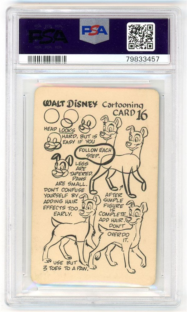 1956 Walt Disney Tramp #16 Cartooning Card PSA 8 NM-MT Pop 5 Only 11 Higher