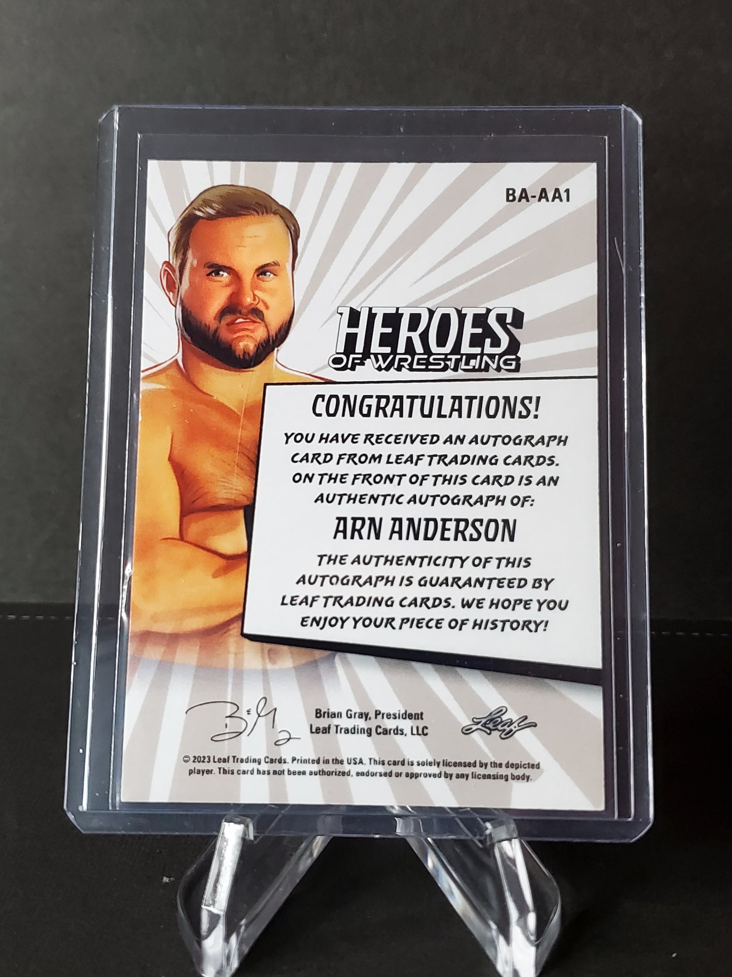 Arn Anderson 2023 Leaf Heroes of Wrestling AUTO Purple #BA-AA1