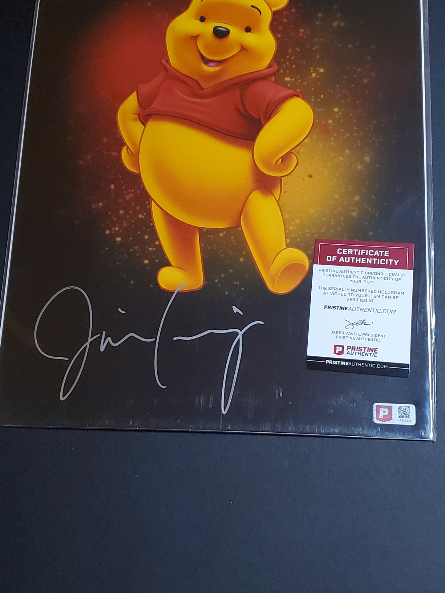 Jim Cummings Signed "Winnie the Pooh" 11x14 Photo (PA COA)