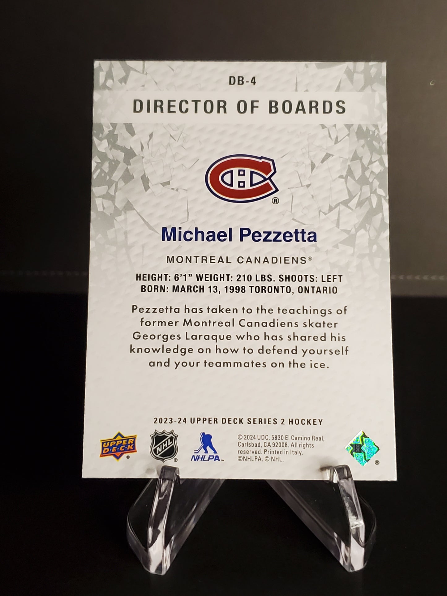 Michael Pezzetta 2023/24 Upper Deck Series 2 Director of Boards #DB-4