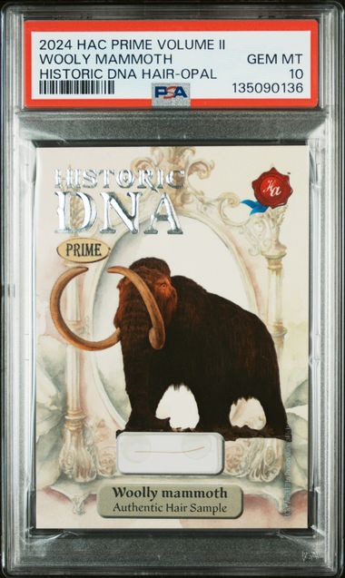 2024 Historic Autographs Prime Woolly Mammoth DNA Hair Relic /24 PSA 10 POP 1